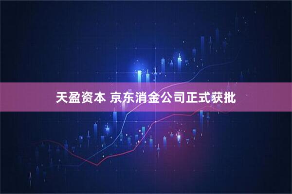 天盈资本 京东消金公司正式获批