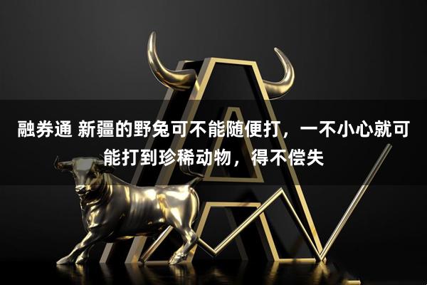 融券通 新疆的野兔可不能随便打，一不小心就可能打到珍稀动物，得不偿失