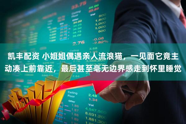 凯丰配资 小姐姐偶遇亲人流浪猫，一见面它竟主动凑上前靠近，最后甚至毫无边界感走到怀里睡觉